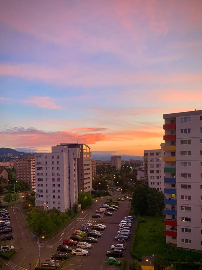 Blue Mountain Residence Брашов Экстерьер фото