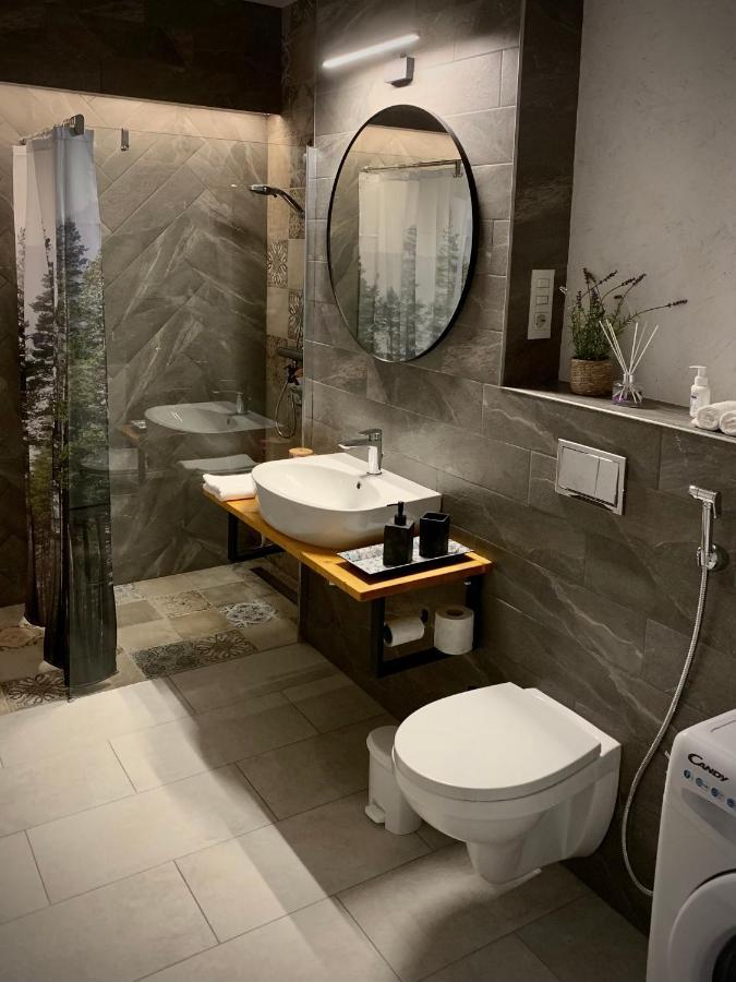 Blue Mountain Residence Брашов Экстерьер фото