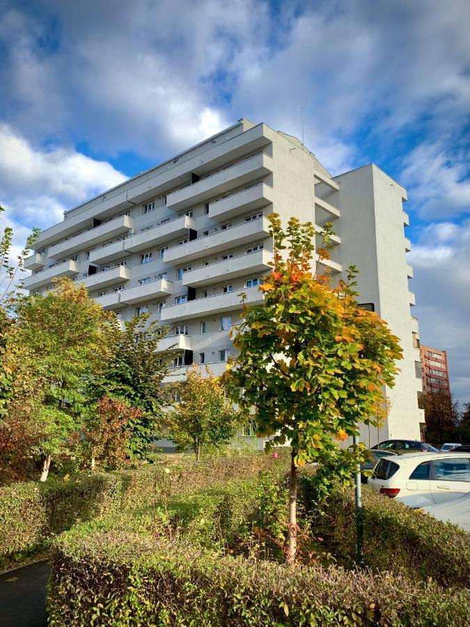 Blue Mountain Residence Брашов Экстерьер фото